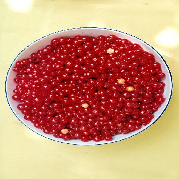 Teller mit roten Johannisbeeren