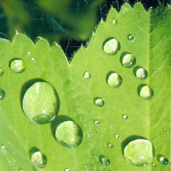 10 Fragen an Clarissa Körner-Bertele