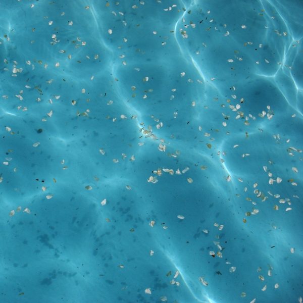 Wasser Fotograf: Martin Abegglen