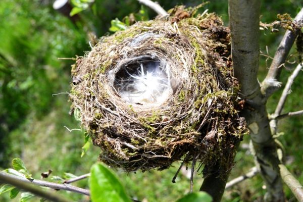 Architektur Projektwoche "Meine Traumschule"