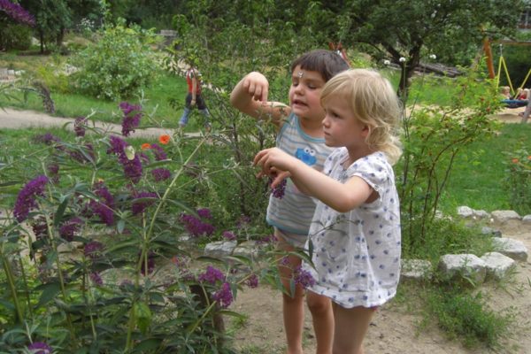 Thema Resonanz: Kita Eene meene Mopel