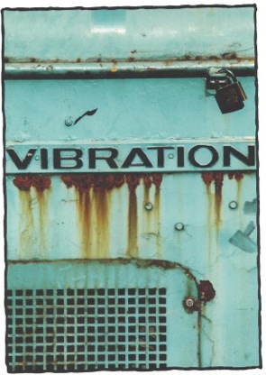 Skandieren mit Tieren auf allen Vieren