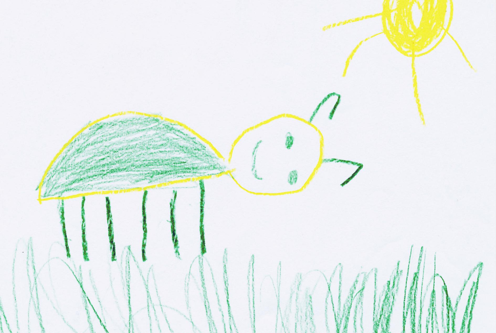 Besucher und Mitbewohner: Die Kakerlake