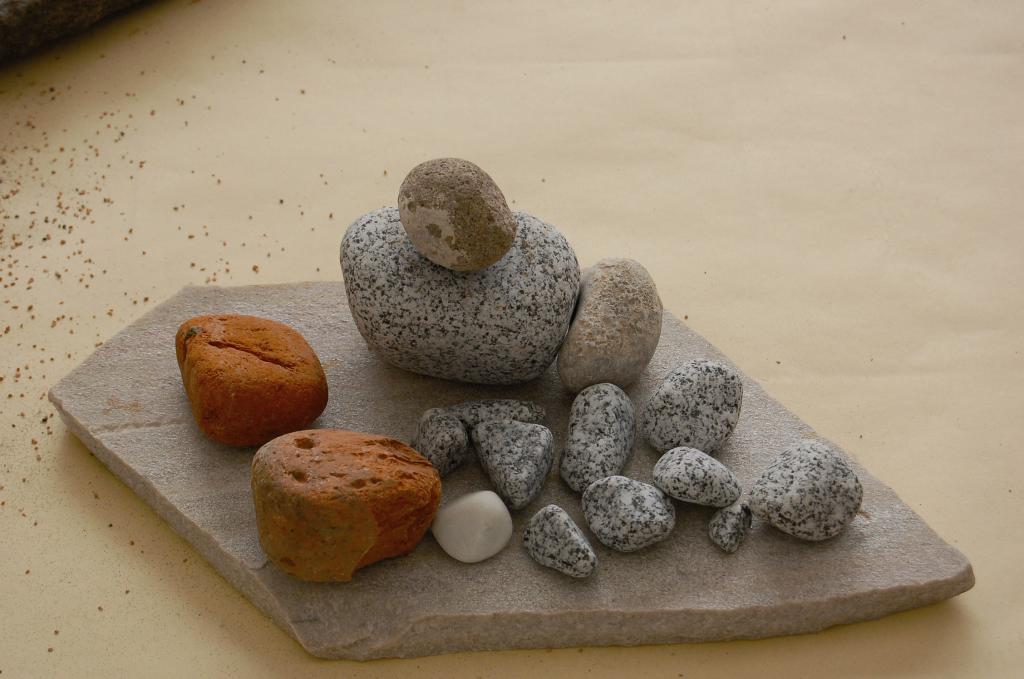 Lernen macht glücklich!