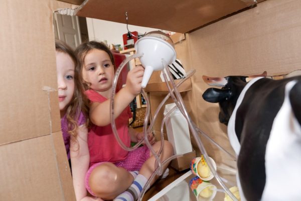 Kuh im Kühlschrank: Küche