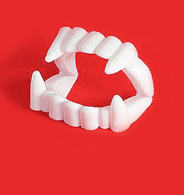 Das  Schulgesetz und Toms Zähne