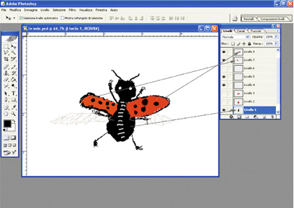 Die Reise eines Marienkäfers