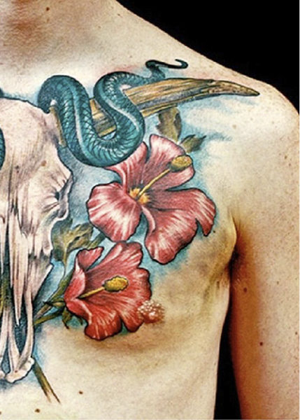 snake-and-hibiscus-s24