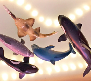 Kraken, Haie und Piraten