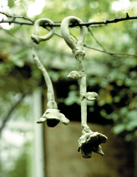 Wie Bildungs- & Erziehungsprozesse gelingen