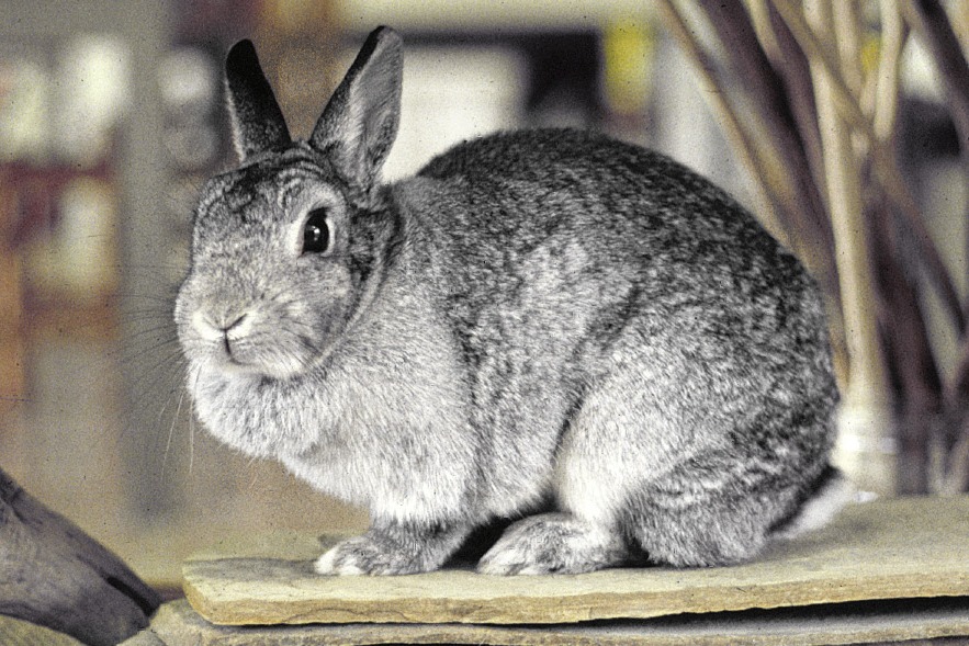 Grüße in den Himmel
