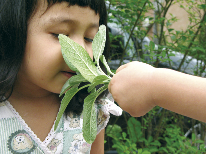 Wie Bildungs- & Erziehungsprozesse gelingen II