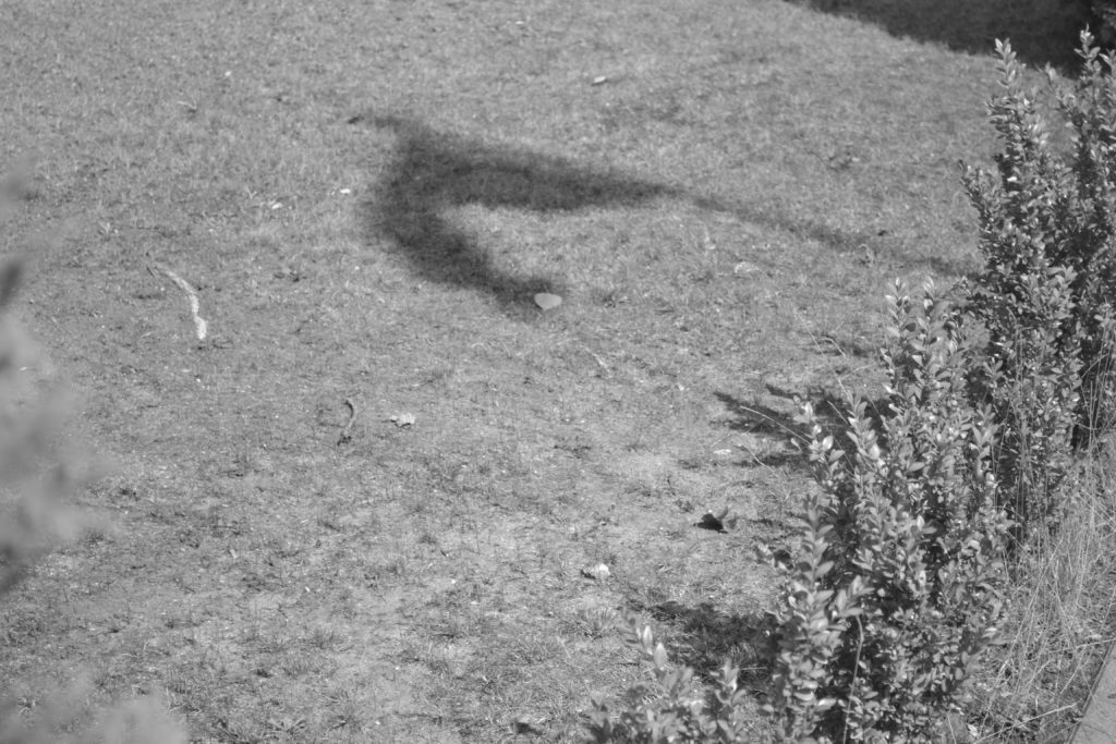 Schatten der Nationalflagge von Kuba