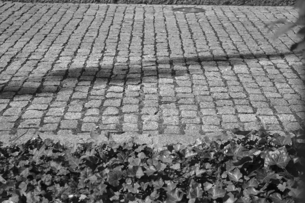 Schatten der Nationalflagge von Ägypten