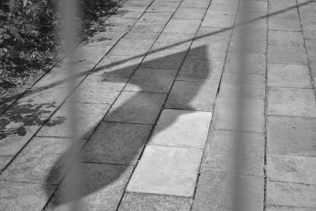 Schatten der Nationalflagge von Ghana