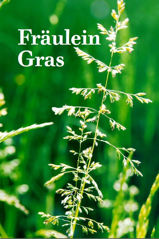 Drei wamiki- Hosentaschen­bücher