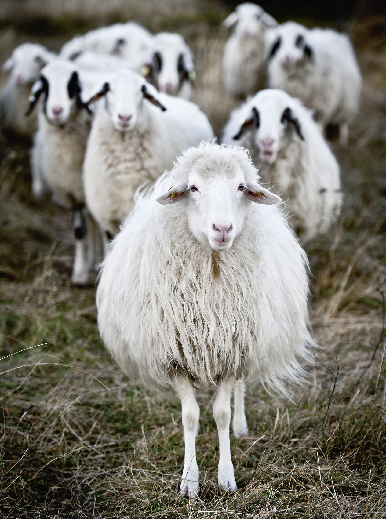 XX Fragen, die man sich mal stellen kann!