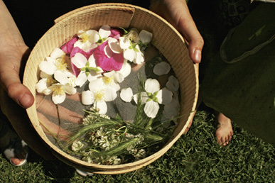 Aus Unkraut werden Lebensmittel