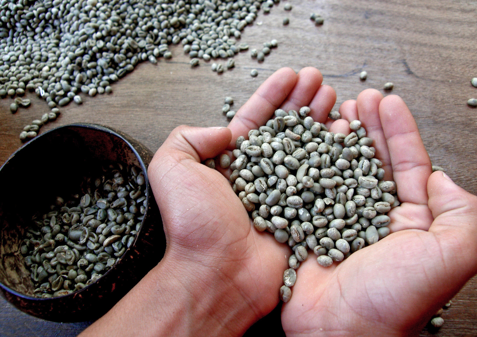 Coffee for life Oder Social Entrepreneurship