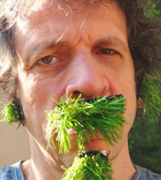 Rasenkunst statt Kunstrasen