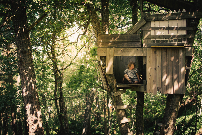 Gedicht: Thomas Rosenlöcher