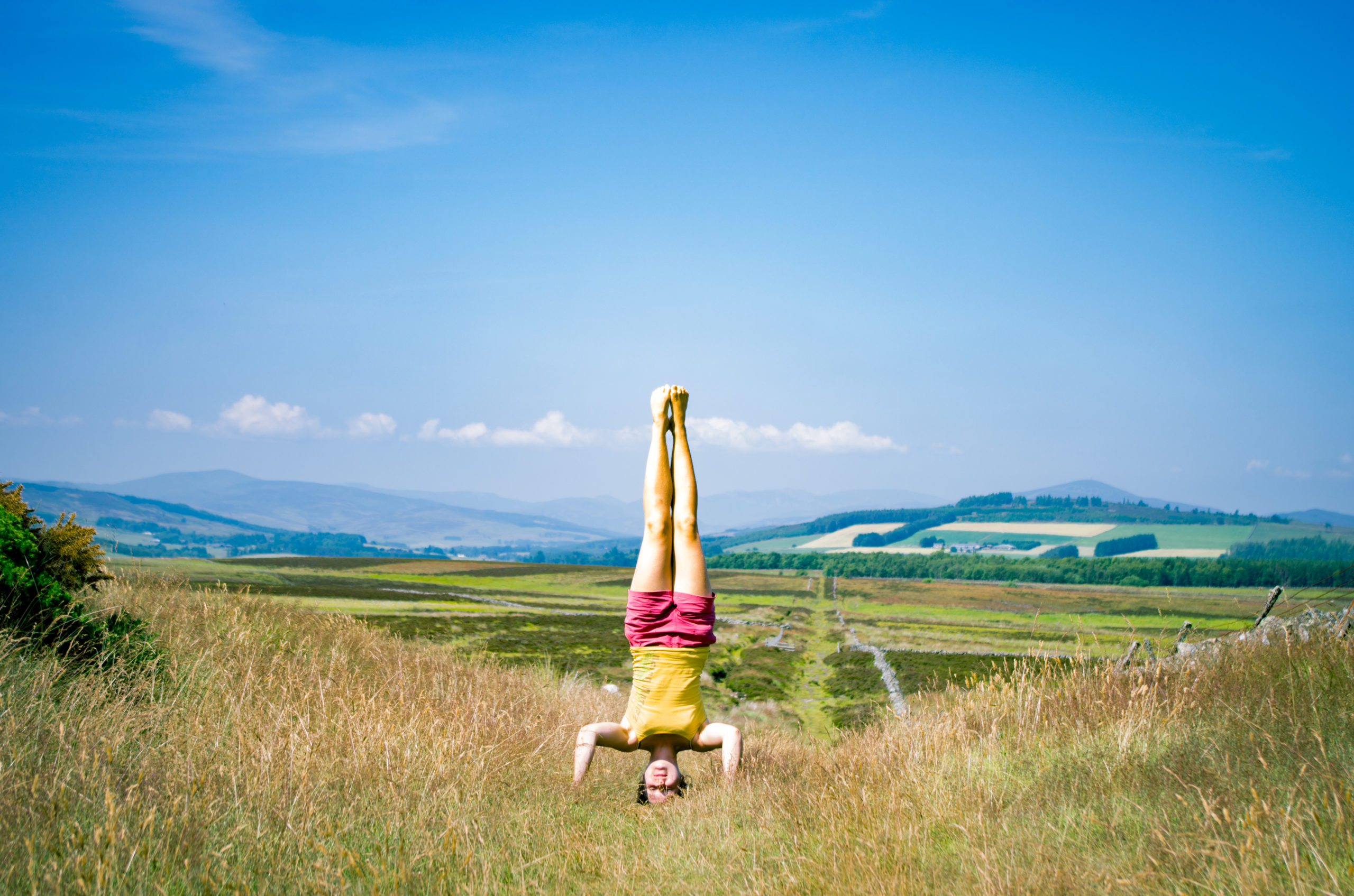 Spiele, die dich zur Schnecke machen