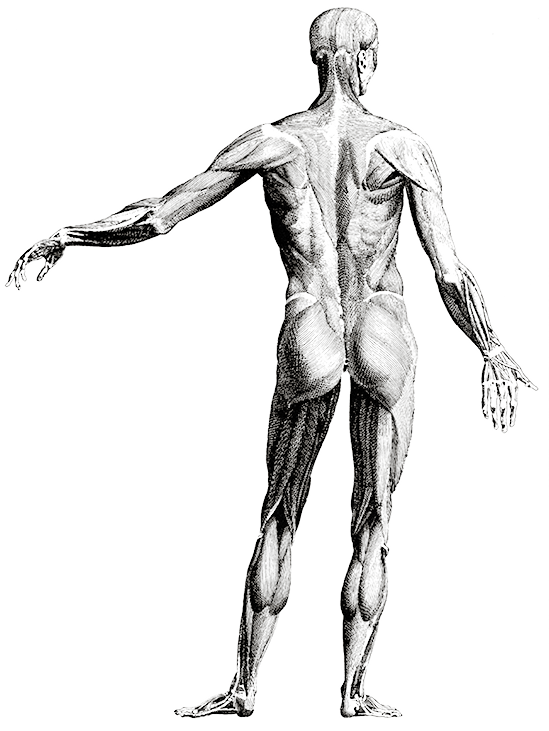 Von der Macht schleichender Gewohnheiten