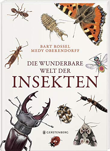 Kinderbuch der Woche: Insekten – kleine Wunder