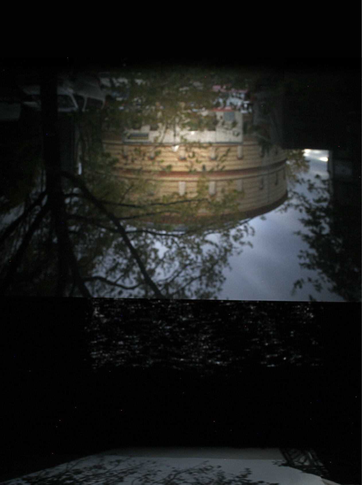 Wünsche für die Welt