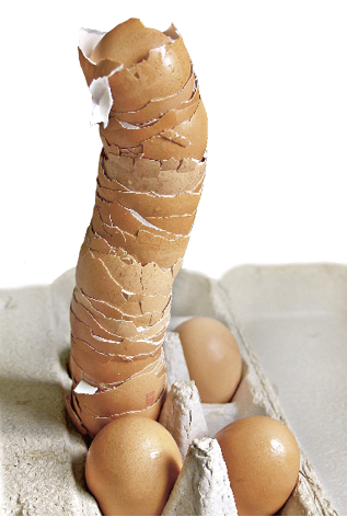 Von Kreaturen zu Kreatoren