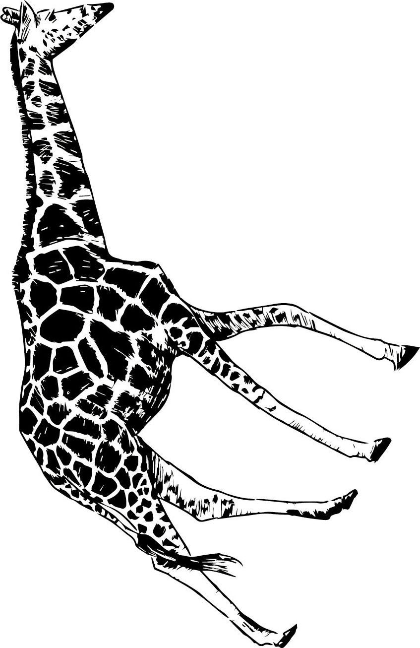 Gewaltfrei kommunizieren