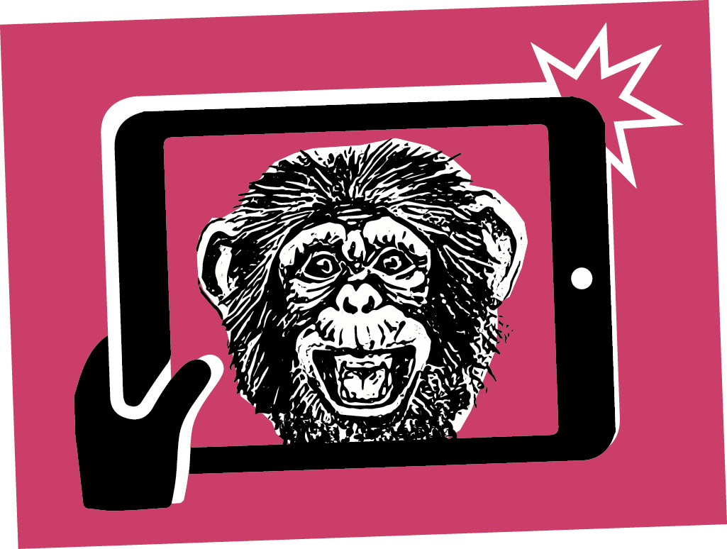 Das Recht  auf Affenscheiße