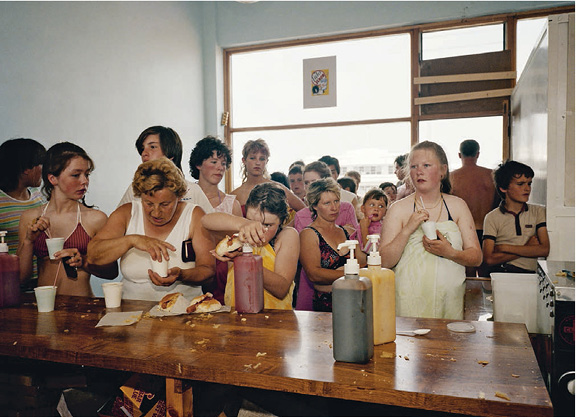 Sauerkraut für kluge Köpfe