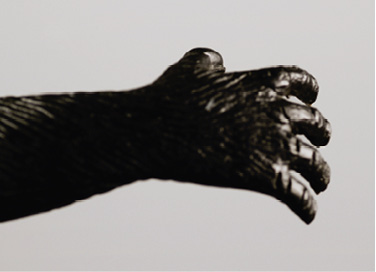 Hart, härter, Herta!