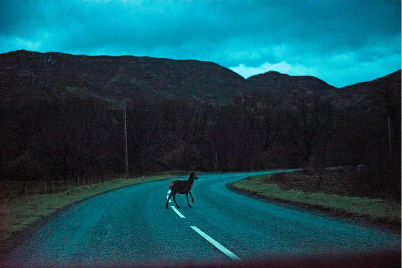 wie es dir beliebt –