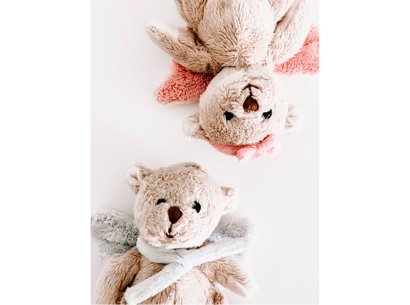 Der Rechtsruck bei den ­Braunbären