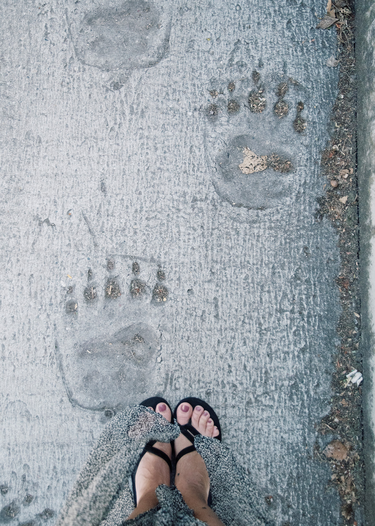 Gedicht: Heinrich Detering