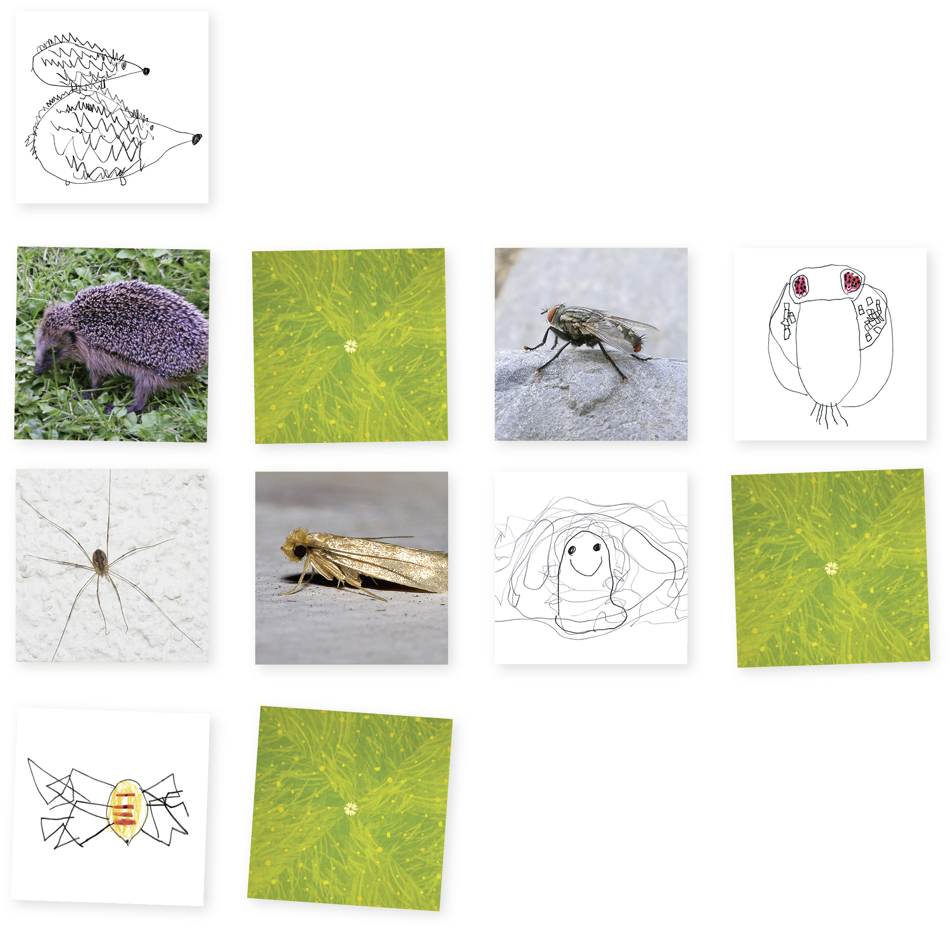 Wilde Tiere in Eurer Kita