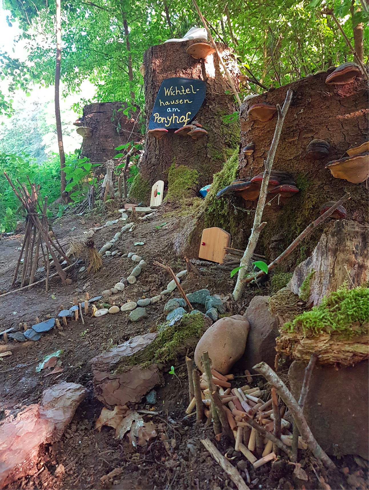 Das Whatsapp- Seminar