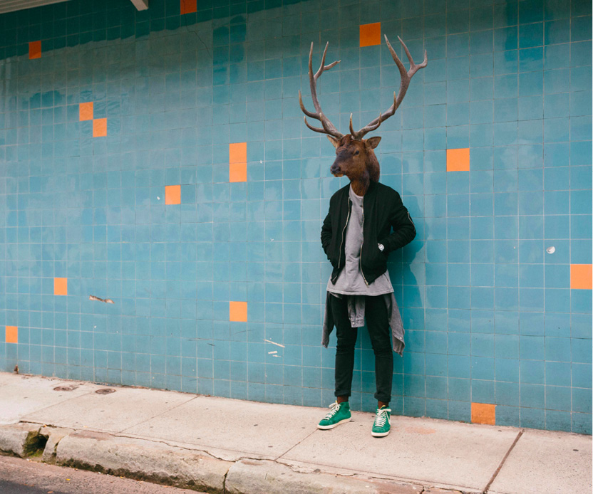 In der Dummheitsfalle