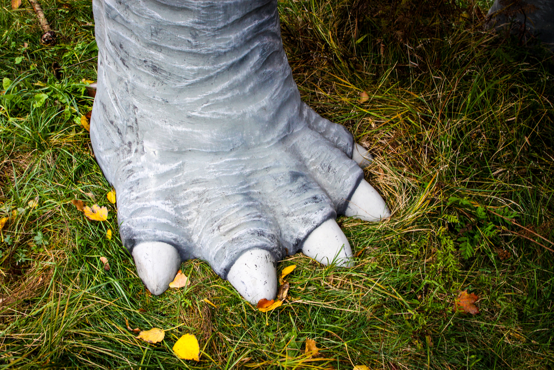 Weisheiten über Dummheiten