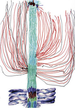 Eine Fälschung, wahrer als wahr