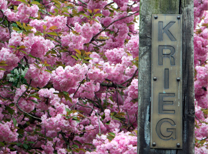 Keine Strafe für Brave