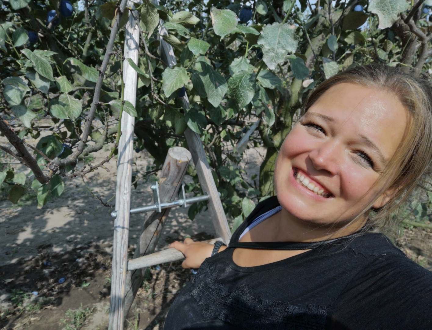 Brandbrief einer Erzieherin