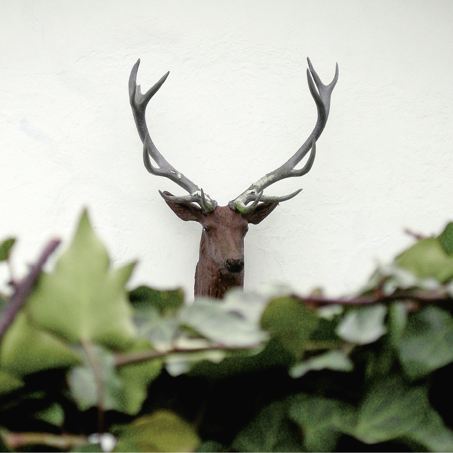 Zur Sache,  Sätzchen!