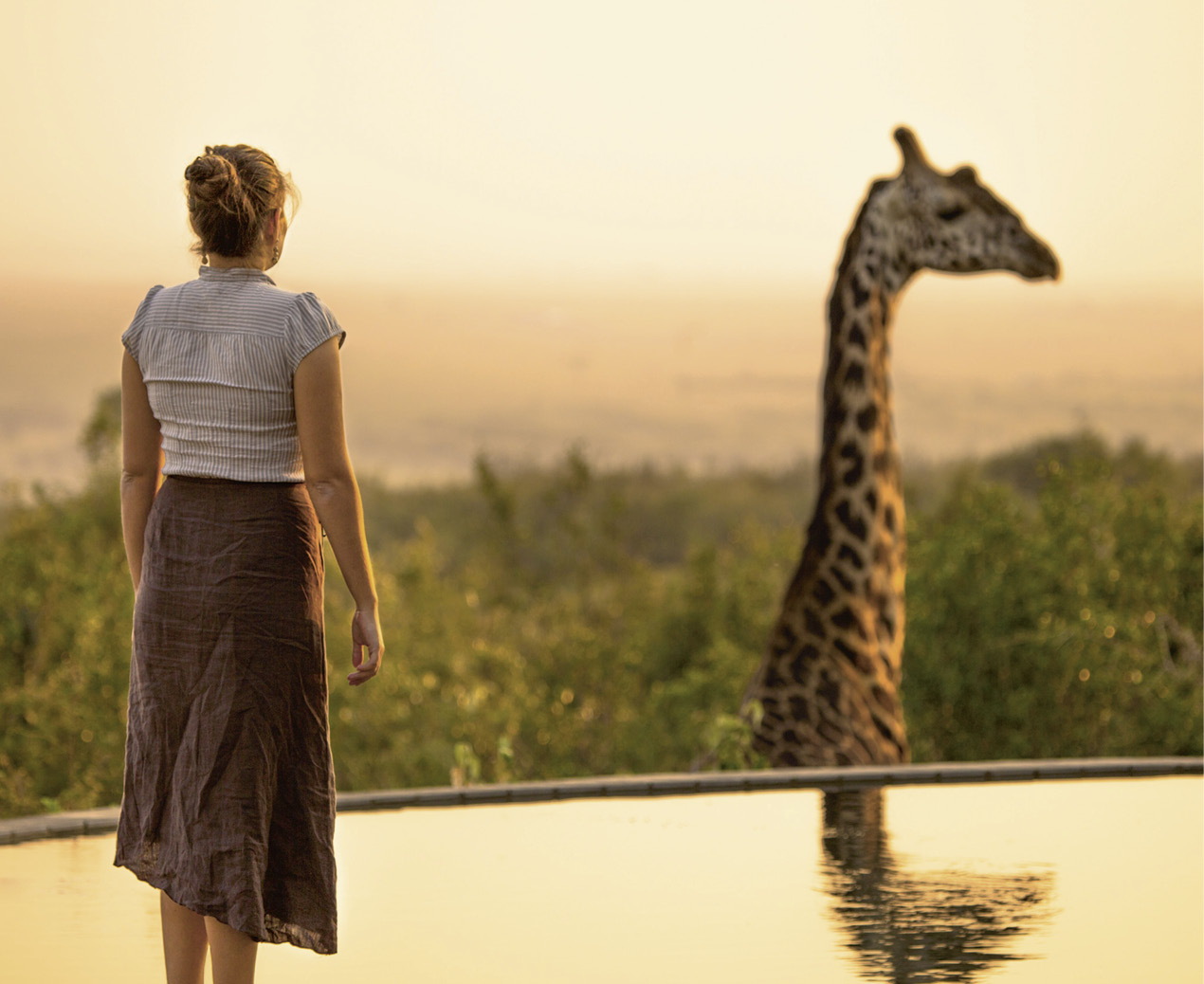 Giraffensprache versus  Wolfssprache